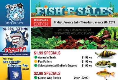 Big Al's (Mississauga) Weekly Specials January 3 to 9