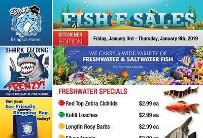 Big Al's (Kitchener) Weekly Specials January 3 to 9