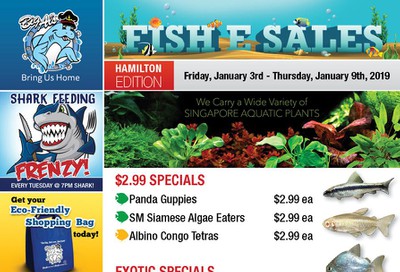 Big Al's (Hamilton) Weekly Specials January 3 to 9