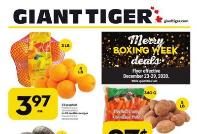 Giant Tiger (West) Flyer December 23 to 29