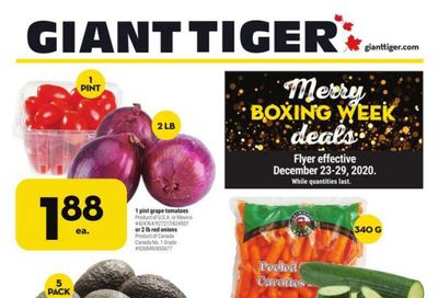 Giant Tiger (Atlantic) Flyer December 23 to 29