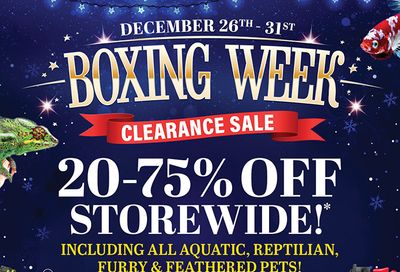 Big Al's Boxing Week Flyer December 26 to 31, 2020