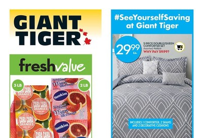 Giant Tiger (Atlantic) Flyer January 8 to 14