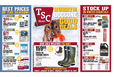 TSC Stores Flyer January 10 to 16