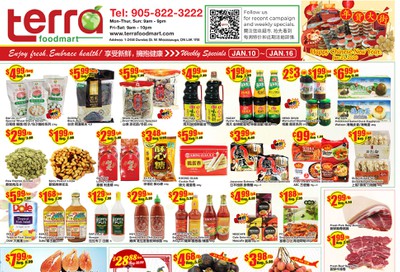 Terra Foodmart Flyer January 10 to 16