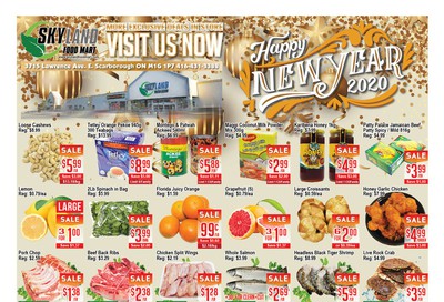 Skyland Food Mart Flyer January 10 to 16