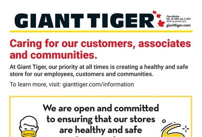 Giant Tiger (ON) Flyer December 30 to January 5