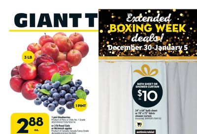 Giant Tiger (Atlantic) Flyer December 30 to January 5