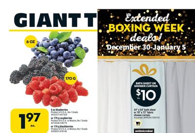 Giant Tiger (West) Flyer December 30 to January 5