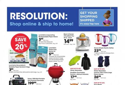 Fry’s Weekly Ad Flyer December 30 to January 5