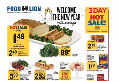 Food Lion (VA) Weekly Ad Flyer December 30 to January 5