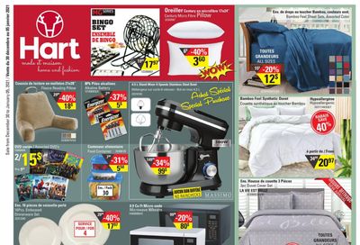 Hart Stores Flyer December 30 to January 5