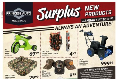 Princess Auto Surplus New Products Flyer January 1 to 31