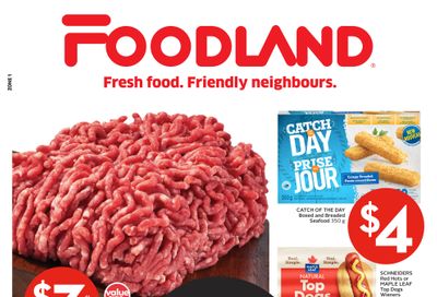 Foodland (ON) Flyer January 2 to 6