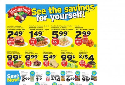 Hannaford (MA) Weekly Ad Flyer January 3 to January 9