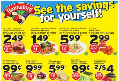 Hannaford (NY) Weekly Ad Flyer January 3 to January 9