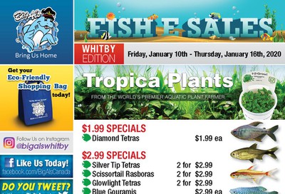 Big Al's (Whitby) Weekly Specials January 10 to 16