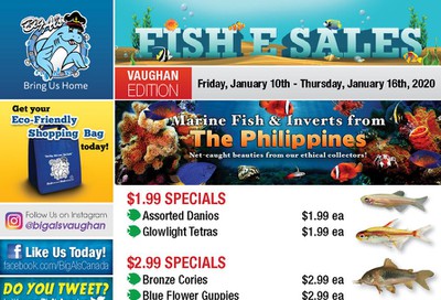 Big Al's (Vaughan) Weekly Specials January 10 to 16