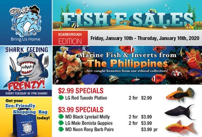 Big Al's (Scarborough) Weekly Specials January 10 to 16