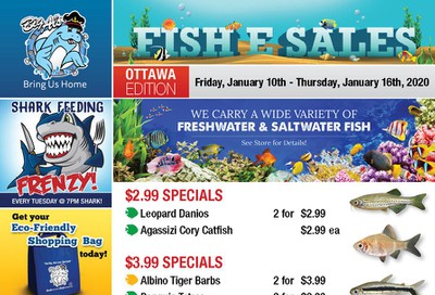 Big Al's (Ottawa East) Weekly Specials January 10 to 16