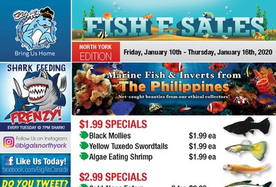 Big Al's (North York) Weekly Specials January 10 to 16