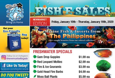 Big Al's (Newmarket) Weekly Specials January 10 to 16