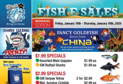 Big Al's (Mississauga) Weekly Specials January 10 to 16