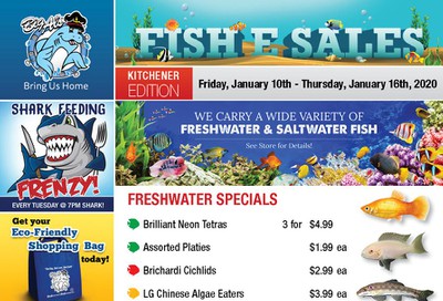 Big Al's (Kitchener) Weekly Specials January 10 to 16