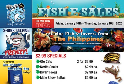 Big Al's (Hamilton) Weekly Specials January 10 to 16