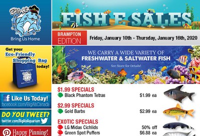 Big Al's (Brampton) Weekly Specials January 10 to 16