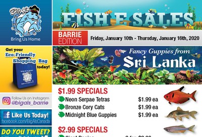 Big Al's (Barrie) Weekly Specials January 10 to 16