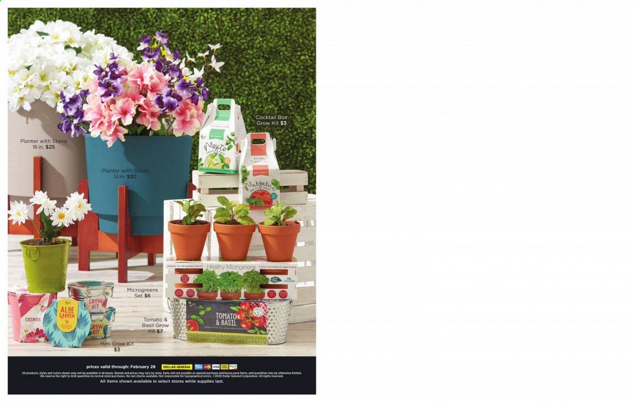 Dollar General Weekly Ad Flyer January 1 to February 28
