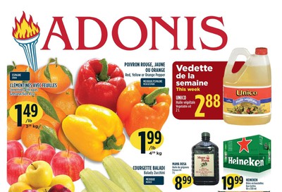 Marche Adonis (QC) Flyer January 16 to 22