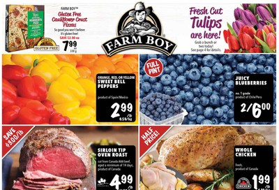 Farm Boy Flyer January 16 to 22