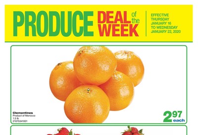 Wholesale Club (ON) Produce Deal of the Week Flyer January 16 to 22