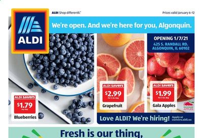 ALDI (IL) Weekly Ad Flyer January 6 to January 12