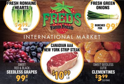 Fred's Farm Fresh Flyer January 13 to 19