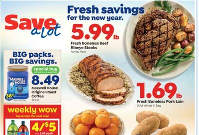 Save a Lot Weekly Ad Flyer January 13 to January 19