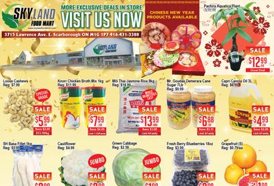 Skyland Food Mart Flyer January 15 to 21