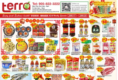 Terra Foodmart Flyer January 17 to 23