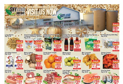 Skyland Food Mart Flyer January 17 to 23