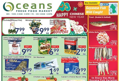Oceans Fresh Food Market (Brampton) Flyer January 17 to 23