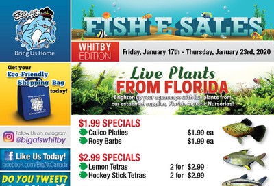 Big Al's (Whitby) Weekly Specials January 17 to 23