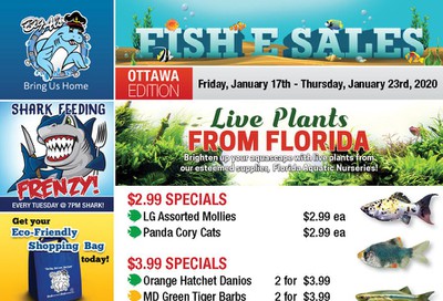 Big Al's (Ottawa East) Weekly Specials January 17 to 23