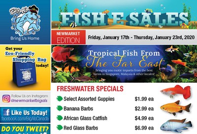 Big Al's (Newmarket) Weekly Specials January 17 to 23