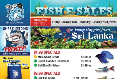 Big Al's (Mississauga) Weekly Specials January 17 to 23