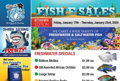 Big Al's (Kitchener) Weekly Specials January 17 to 23