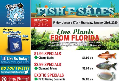 Big Al's (Brampton) Weekly Specials January 17 to 23