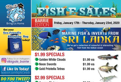Big Al's (Barrie) Weekly Specials January 17 to 23