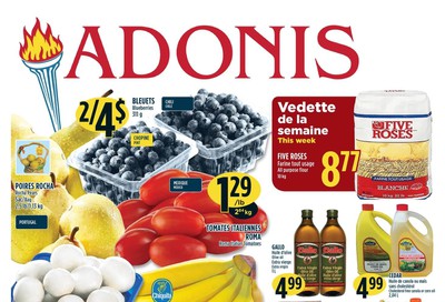 Marche Adonis (QC) Flyer January 23 to 29